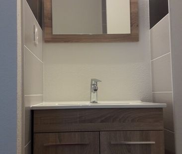 Location Appartement 1 pièce 21m² ISLE 87170 - Photo 2