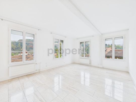 Appartement dexception avec vue panoramique sur Fribourg - Photo 1