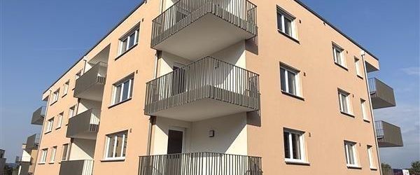 Neubaumietwohnungen in TOP-Lage von Horb-Hohenberg / Erstbezug! - Foto 1