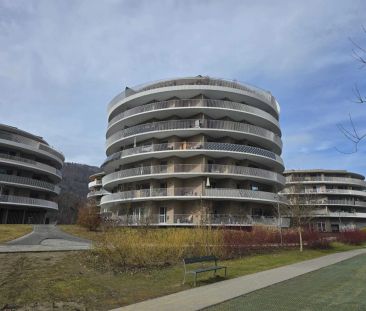 STRASSGANGER Straße 380c : Neuwertige 2 Zimmer- Wohnung mit großem ... - Foto 1