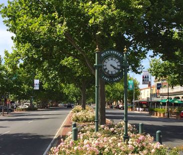 Spacious 2 Bedroom Unit on Eastern Edge of CBD - Photo 5