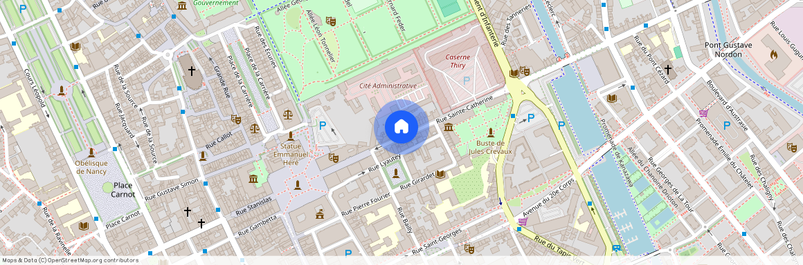 21 RUE SAINTE CATHERINE, Pepiniere Vieille Ville, Nancy