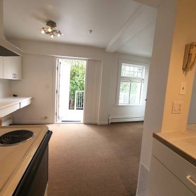 Renovated 2 Bedroom + 1 parking + private deck in KITSILANO just 5 min - Photo 1