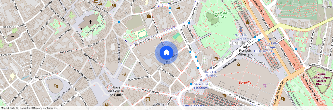 3 Rue Des Jardins, 59000, Lille