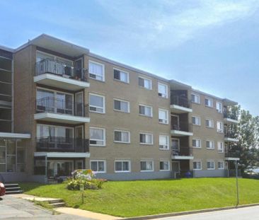 6 Jamieson Street - Photo 2
