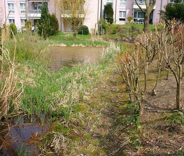 Wohnglück im Grünen (4.5-Zimmerwohnung ca. 94m2) - Foto 3