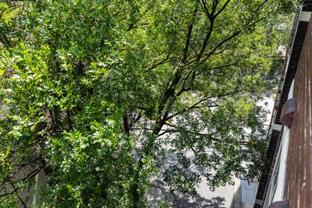 21/179 Darlinghurst Road, Darlinghurst NSW 2010 - Apartment For Rent | Domain - Photo 2