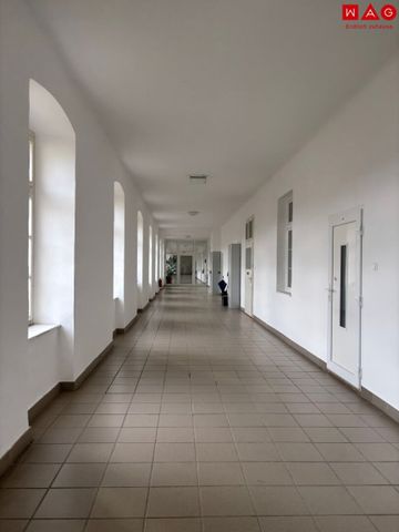 Helle 2,5-Zimmer-Wohnung mit viel Platz in der Zeileisstraße – offene Wohnküche & Ablöse möglich - Photo 3