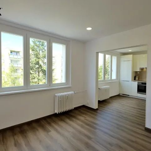 Pronájem bytu 3+1 po kompletní rekonstrukci, s lodžií - Fotografie 1