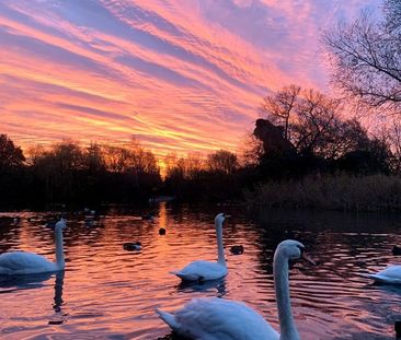 1 Bed Flat, Langton House, SW16 - Photo 3