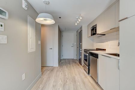 1020 Rue de Bleury, Ville-Marie, QC - Photo 4
