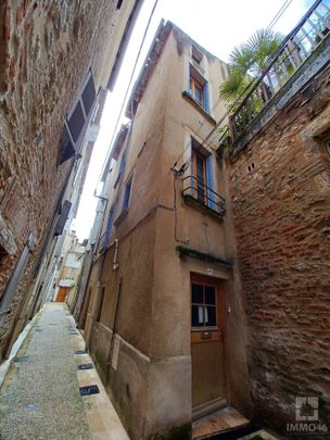Location Appartement 2 pièces 80m² CAHORS 46000 - Photo 1
