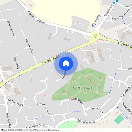 Golden Orb Wood, Binfield, Bracknell, Berkshire, RG42