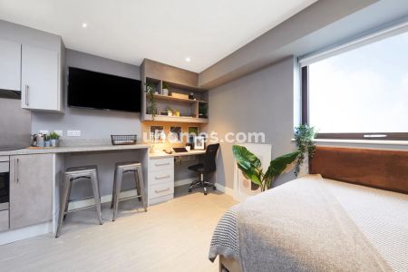 Silver Studio - Photo 5