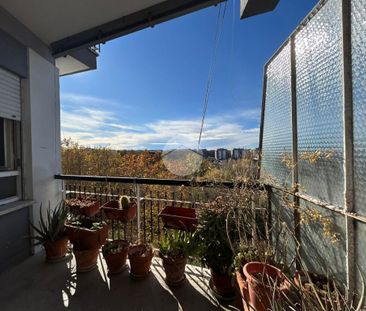 5 locali in affitto - Photo 4