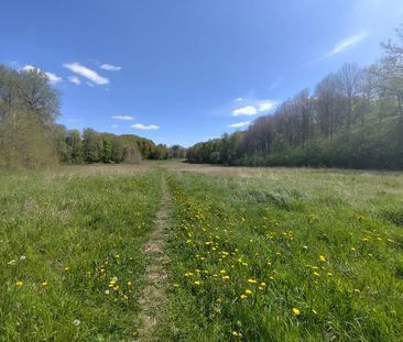 Gamla Tullingevägen, Huddinge - Photo 5