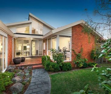 Elegant Light-Filled Unit in Prime Camberwell Location - Photo 2