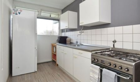 Apartment Zoetermeer - Belvédèrebos - Photo 3