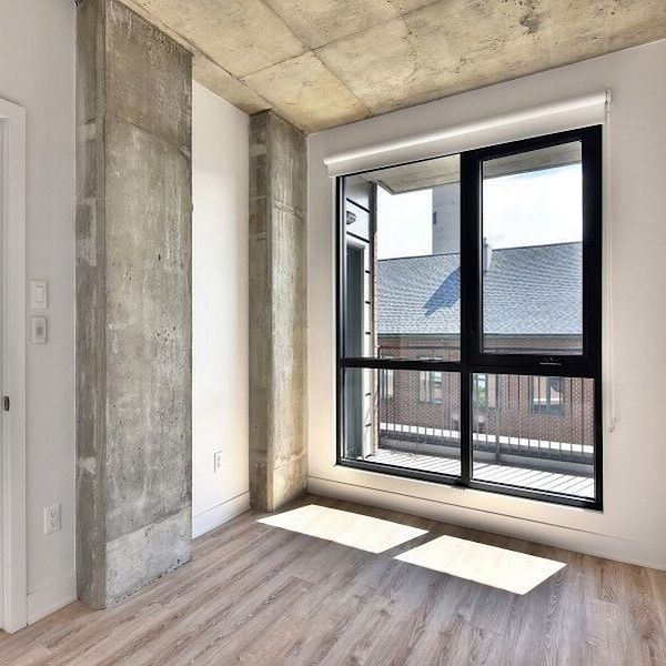 230 Dominion street, Montréal, QC - Photo 1