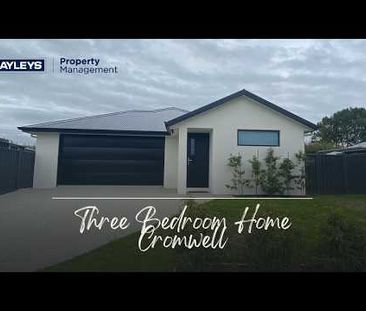 Sanctuary in Prospectors Park - Photo 4