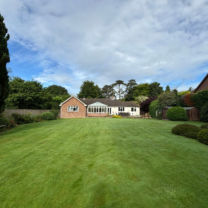 Oxdrove, Trinity Hill, Medstead - Photo 1