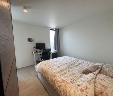 Ginderbroek 66 bus 203, 2400 MOL - Photo 6