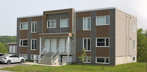 302 - 391 Avenue Des Bouleaux, Vallee-Jonction - Photo 2