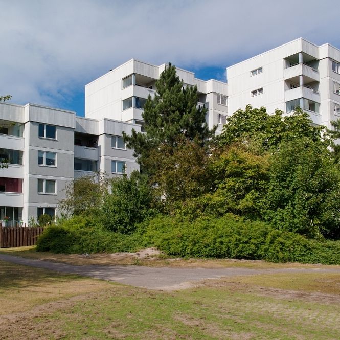 Familienfreundliche und großzügige 3-Zimmer-Wohnung in Wolfsburg - Foto 1