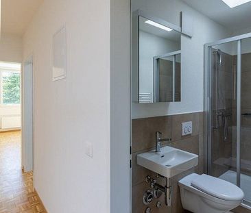 Schöne 4.5 Zimmerwohnung mit Cheminée in Allschwil - Photo 1