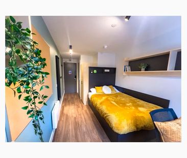 Shared apartments / Private studios / Festival Lets - Photo 4