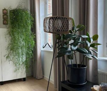 Bel-étage te huur in Brugge voor € 825 met 3 slaapkamers - Foto 3