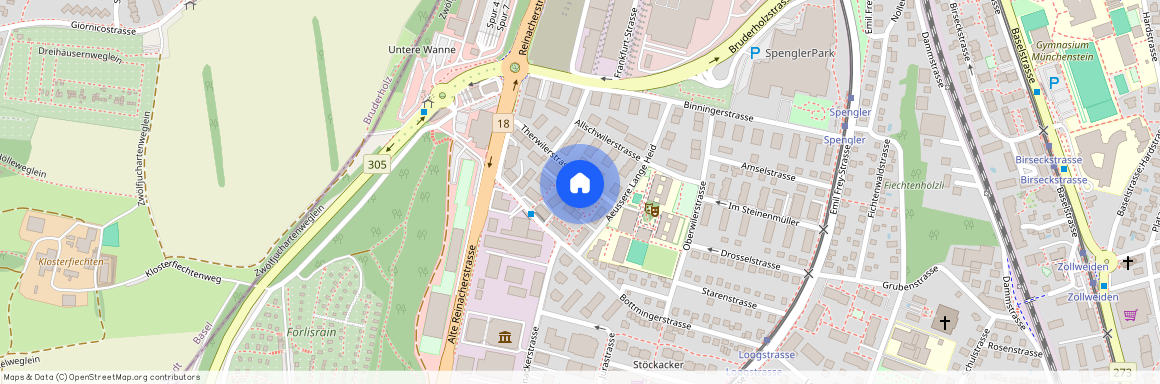 4202 Duggingen
