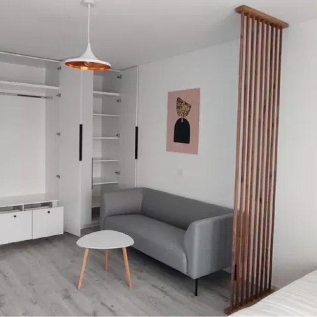 Poitiers apartament 40 mp, 1 camera, decomandat, de inchiriat, Lidl, Cod 162184 - Photo 1
