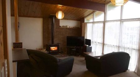 Great Spot on Apollo - Photo 4