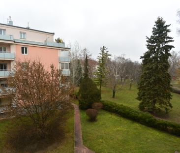 Dieses gut geschnittene Apartment ist ideal geeignet für Single ode... - Foto 6