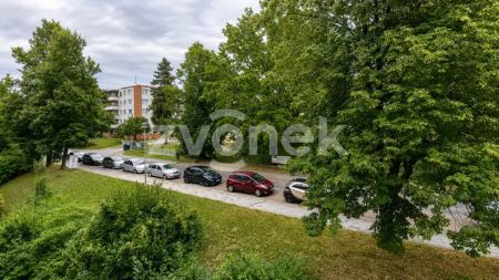 Pronájem moderně zrekonstruovaného bytu 2+1 se dvěma lodžiemi – Zlín, ulice Družstevní - Photo 3