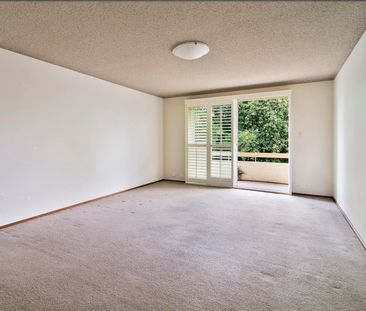 1/42 Archer Street, Chatswood NSW 2067 - Apartment For Rent | Domain - Photo 4