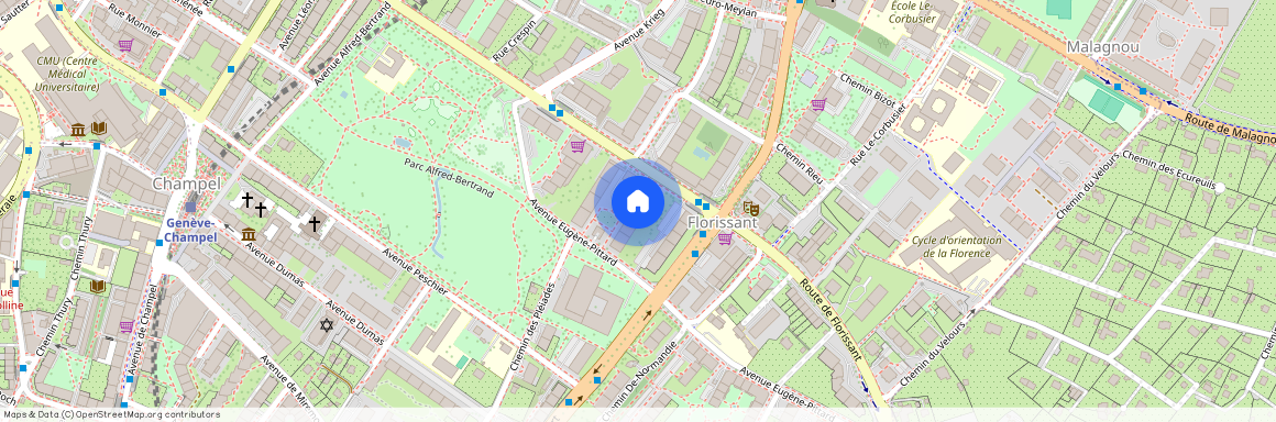 72 route de florissant 1206 Genève, Champel