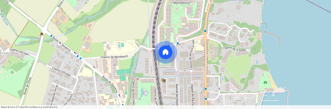 Chemin Petit-Montfleury 4, 1290 Versoix