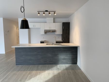 2351-105 rue Harold-Cooke, Sherbrooke (janvier) - Photo 4