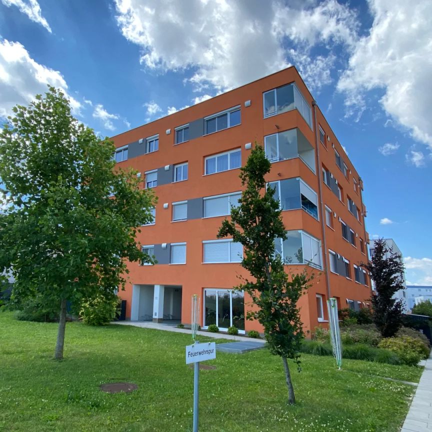 Sehr schöne 3-Zimmer-Wohnung mit Blick ins Grüne - Foto 1