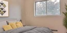 1 CH - 1 SDB - Montréal - $1,100 /mo - Photo 2