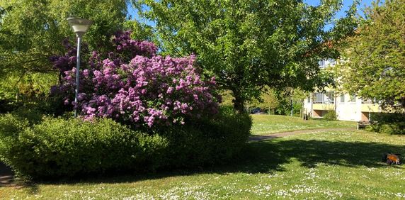 Per Hans väg 4 A, Trelleborg Väster - Foto 2