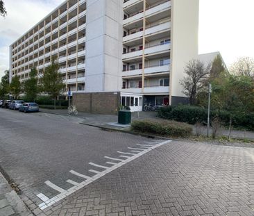 Gemeenschapspolderweg - Photo 1