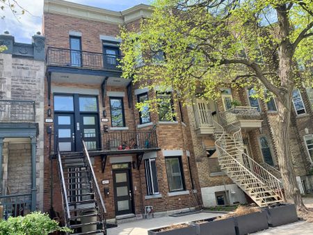 Condo for rent, Montréal (Le Plateau-Mont-Royal) - Photo 2