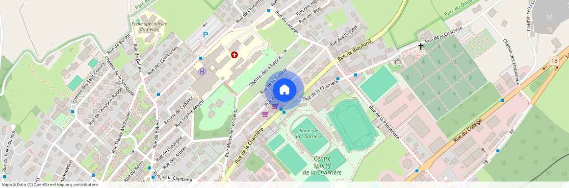 73 Rue de la Charrière, 2300 La Chaux-de-Fonds