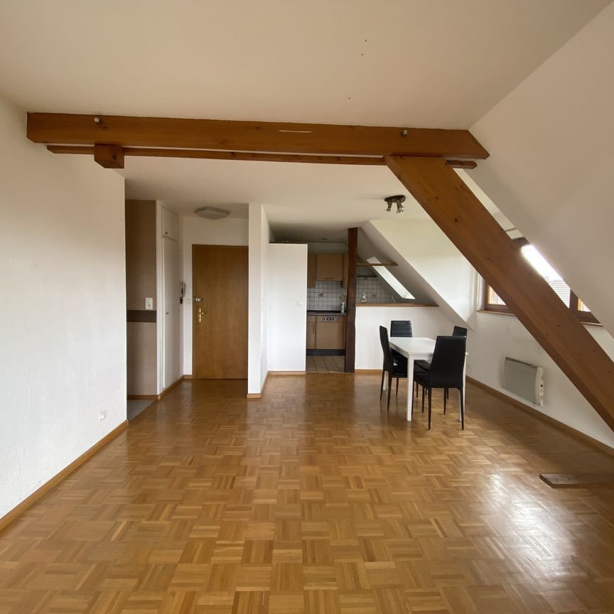 Location Appartement 2 pièces 44m² VILLAGE NEUF 68128 - Photo 1