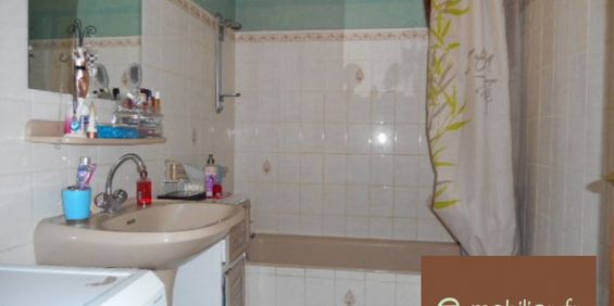 Appartement à louer, 2 pièces - Saint-Baldoph 73190 - Photo 3