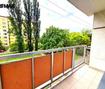 Pronájem bytu 2+1 v osobním vlastnictví 65 m², Litoměřice - Fotografie 3