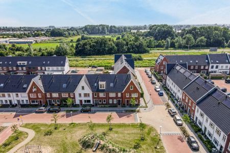 Knobbelzwaan 121 - Photo 5